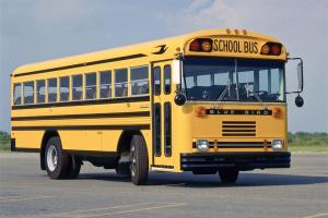 Blue Bird TC/2000 FE Transit School Bus '1988